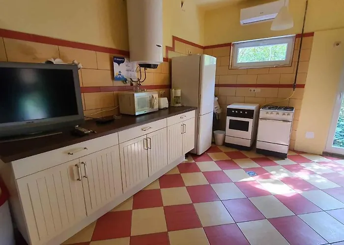 - Balaton 19095 Semesterbostad *